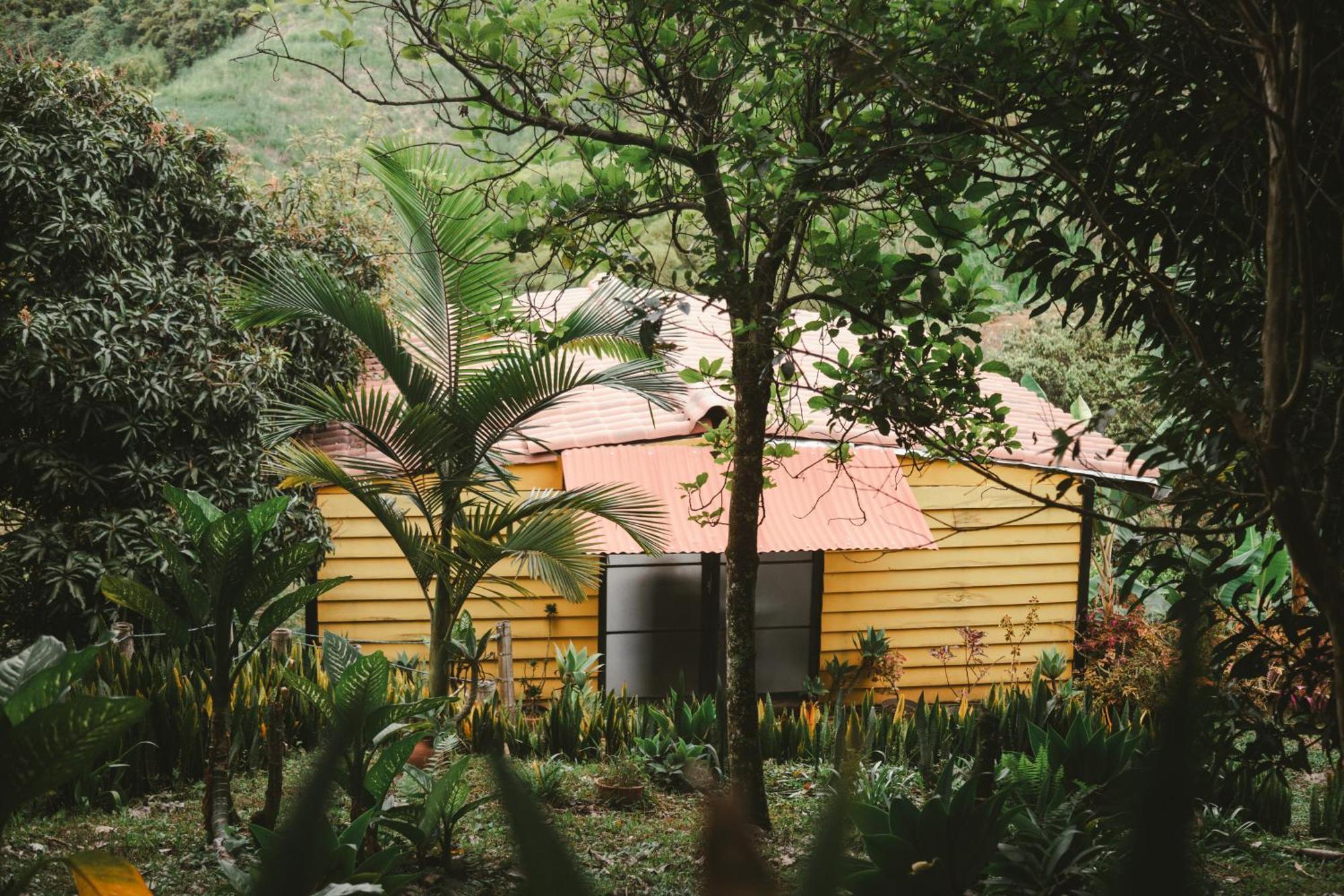 Entre Montanas Tierra Mia - Eje Cafetero