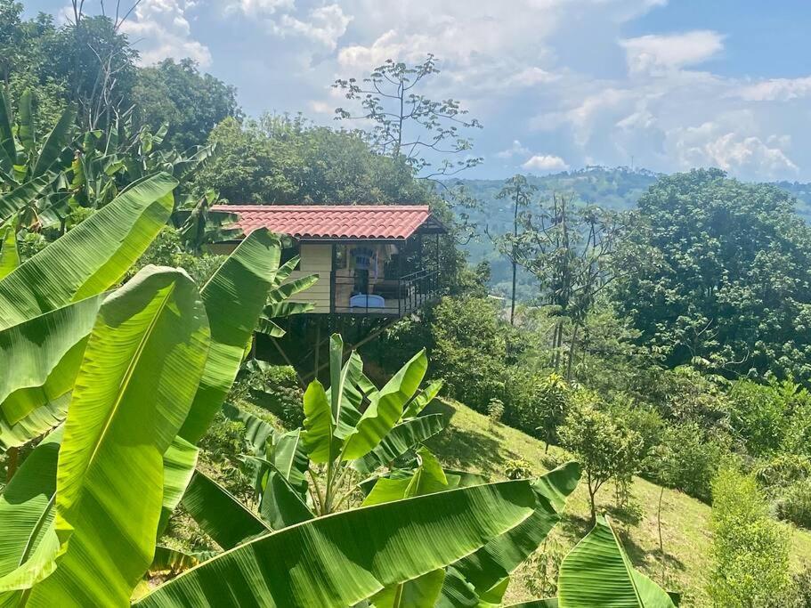 Entre Montanas Tierra Mia - Eje Cafetero *