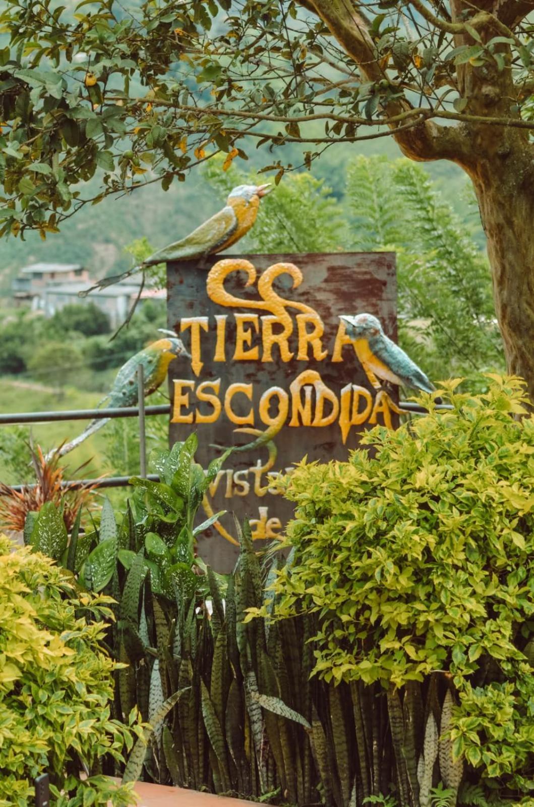 Entre Montanas Tierra Mia - Eje Cafetero